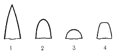 Некоторые формы головной части пуль: 1  остроконечная; 2  закругленная; 3  полусферическая; 4  плоская